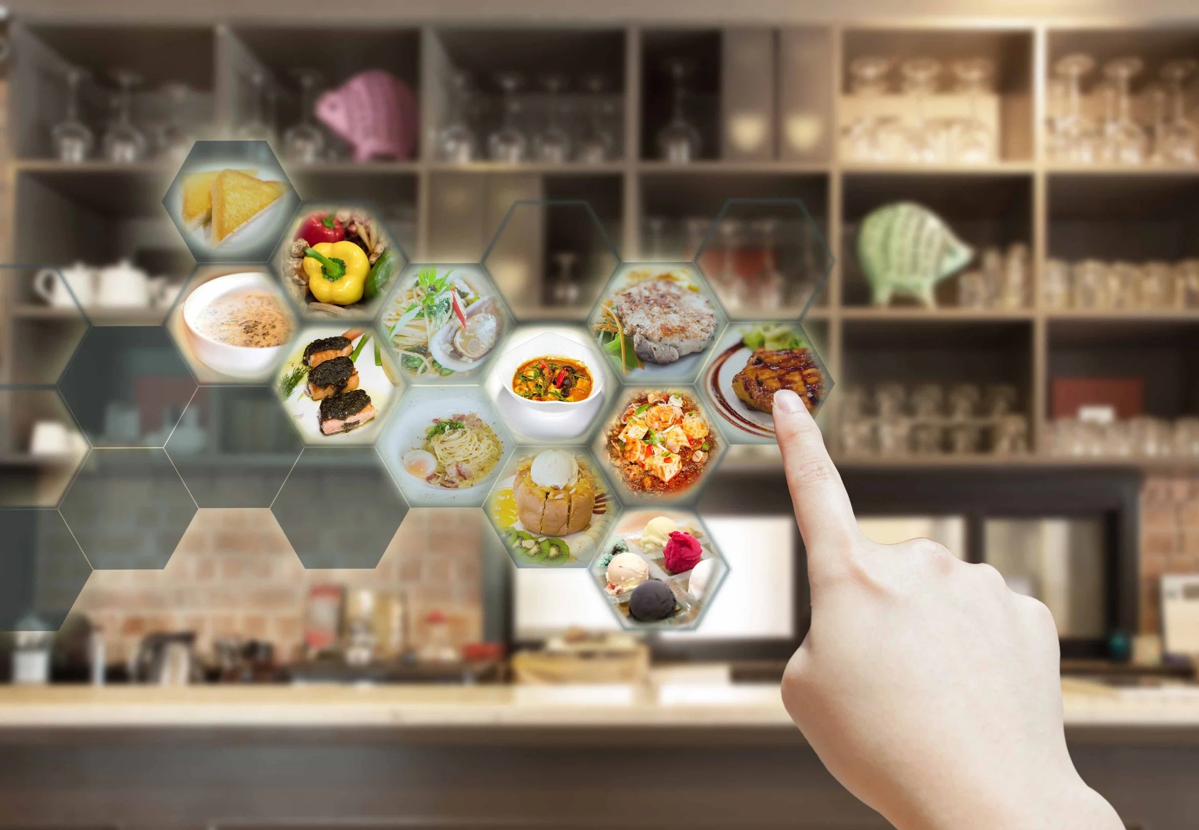 What is a Novel Food?