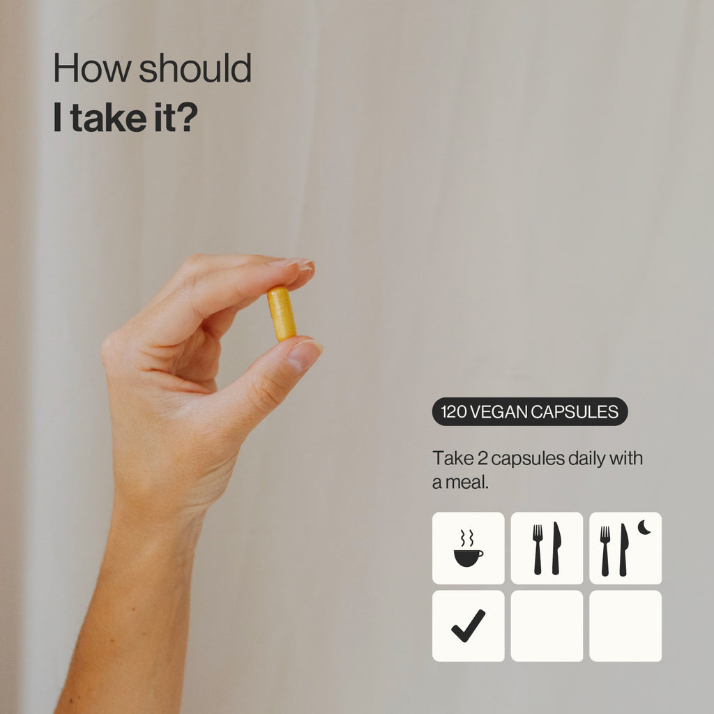 Cúrcuma Ecológica con Pimienta Negra y Jengibre - 120 Cápsulas Veganas